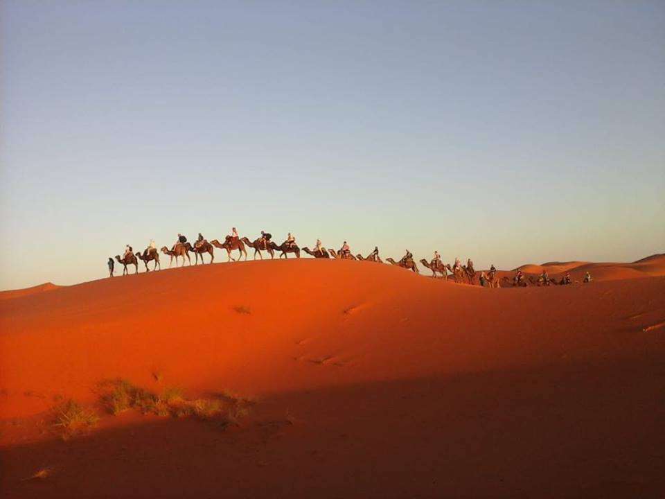 Camel ride to Desert Camp