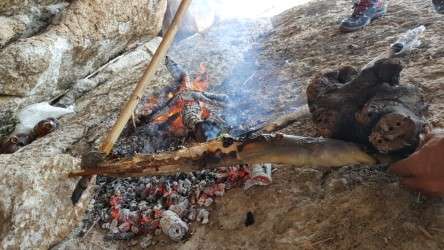 Bafa Gölü'nün Meşhur Lezzeti Yılan Balığı Keyfi