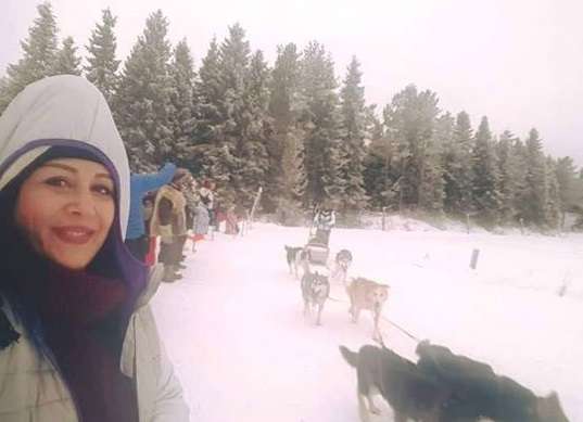 Husky Köpekleri Laponya Gezisi