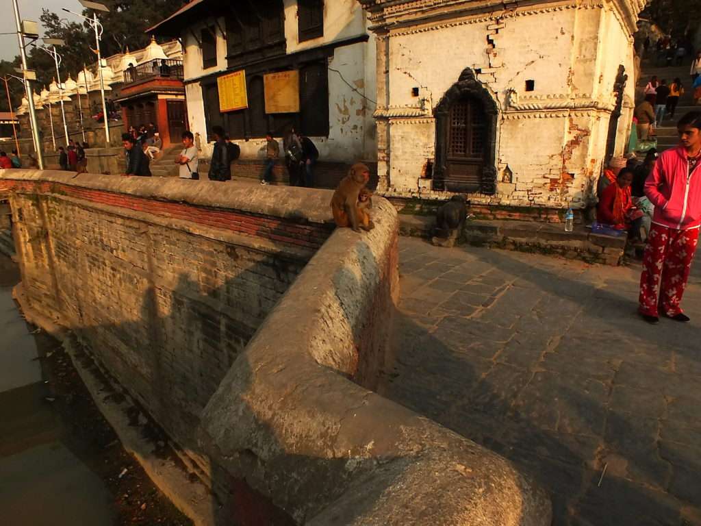 Pashupatinath Tapınağı (श्री पशुपतिनाथ मन्दिर) Çekim Yapılabilen Taraf