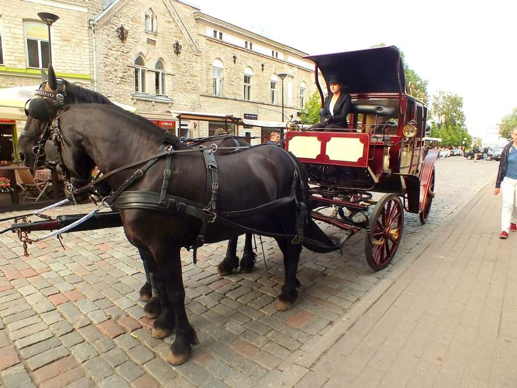 Tallinn'de Bir At Arabası