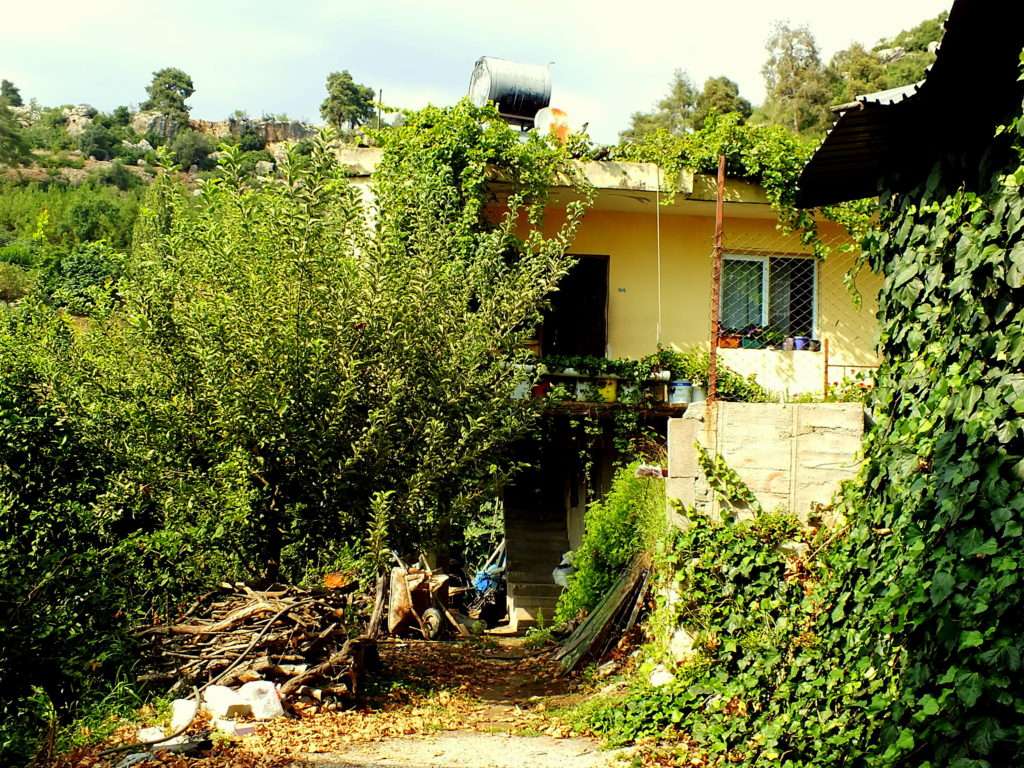 Çamlıca (Yukarı Köy)