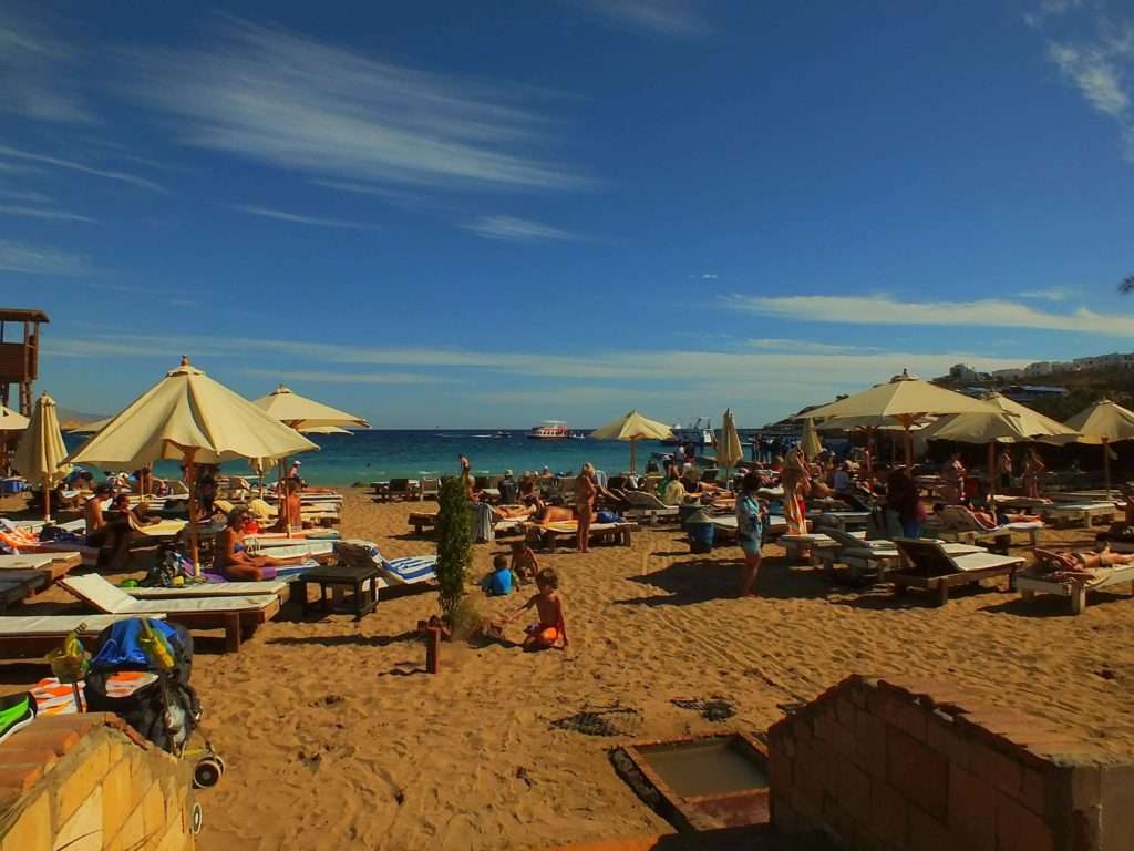 Şarm El-Şeyh'de Ne Yenir? Viva Beach
