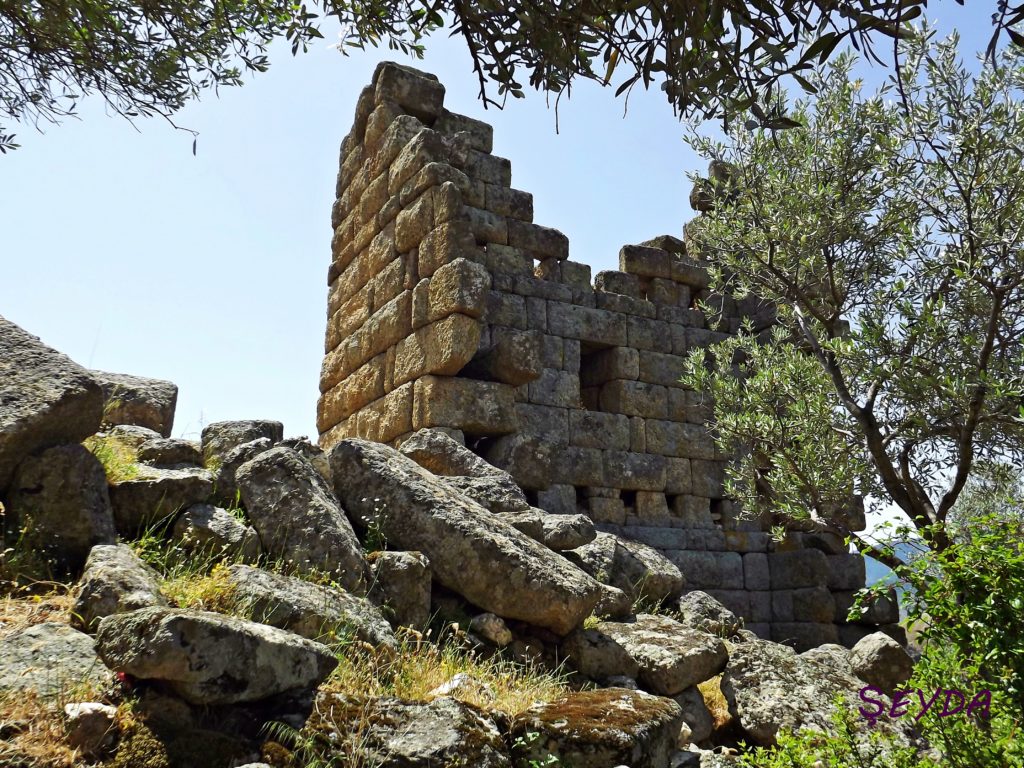 Kapıkırı Köyü Surlar ve Gözetleme Kulesi