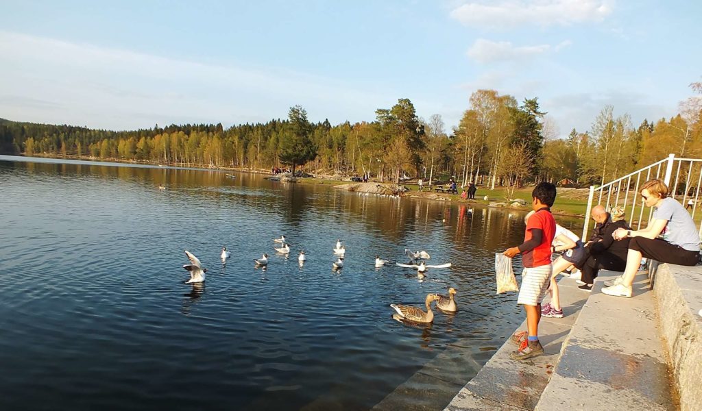 Oslo Gezisi Sognsvann Gölü ve Çocuklar