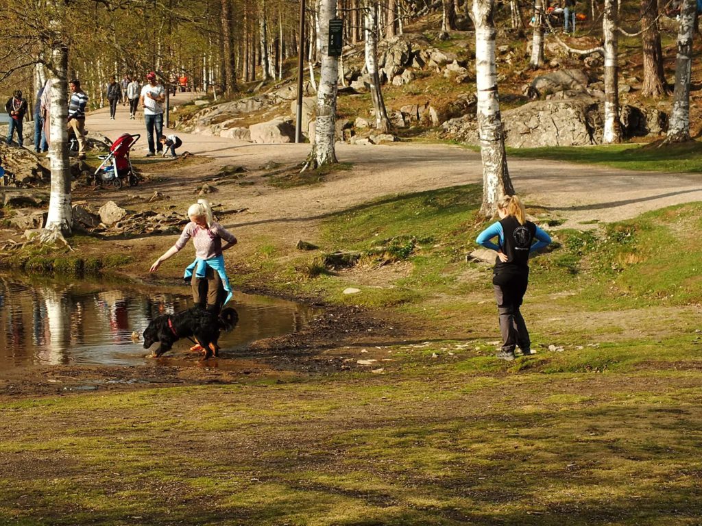 Sognsvann Gölü ve Çocuklar