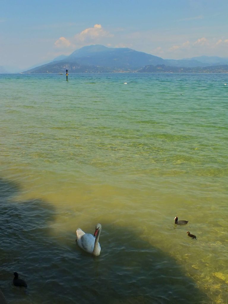 Garda Gölü