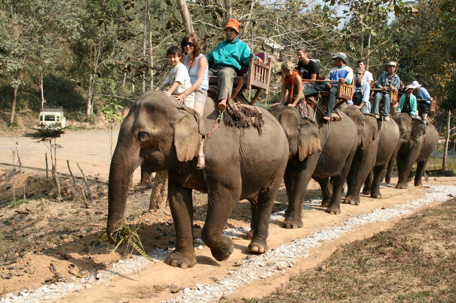 Luang Prabang Fil Safarisi