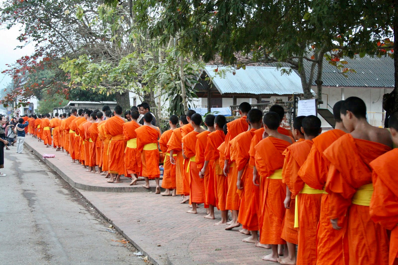 Luang Prabang Budist Rahiplerin Sabah Seromonisi 