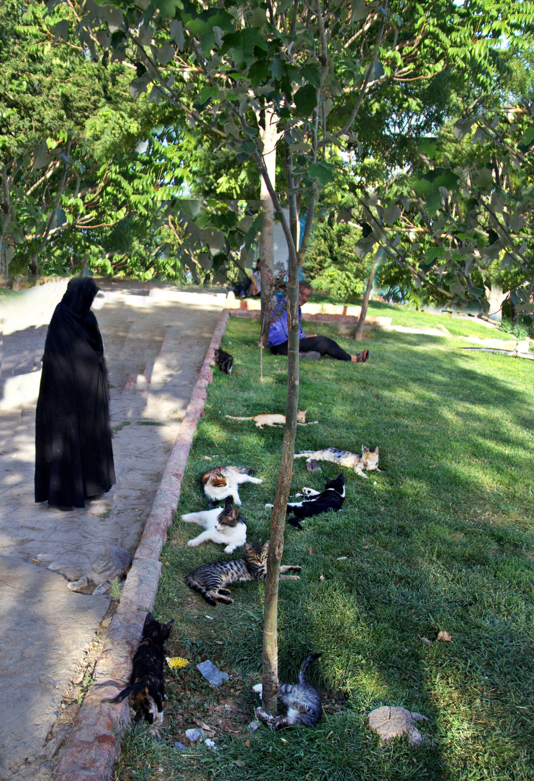 Şairler MezarlığıTebriz ve Şehriyar Gezer Döner Gezi Rehberi Sitesi