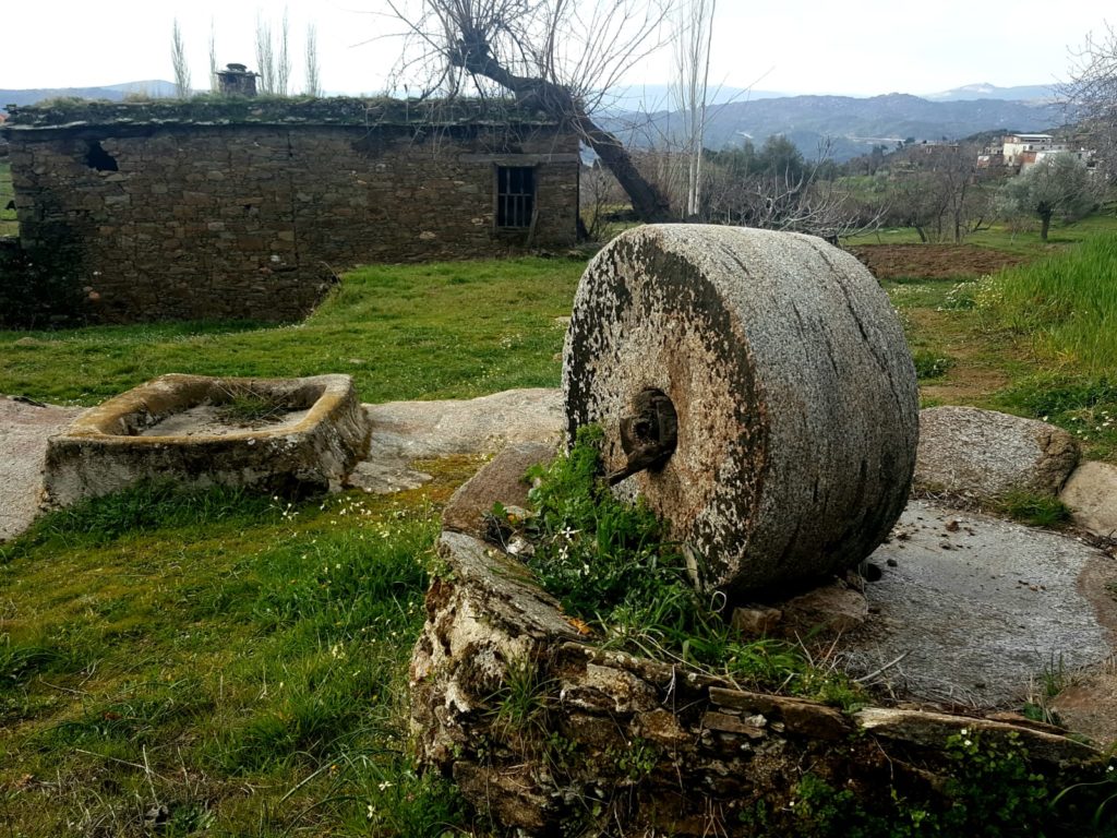 Alabayır Köyü