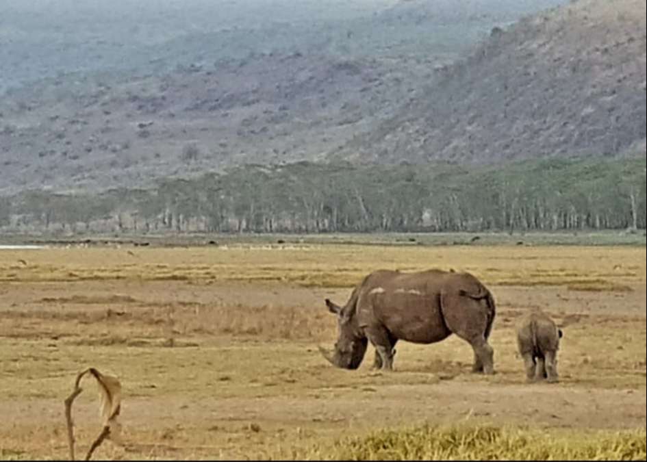 Masai Mara Ulusal Parkı