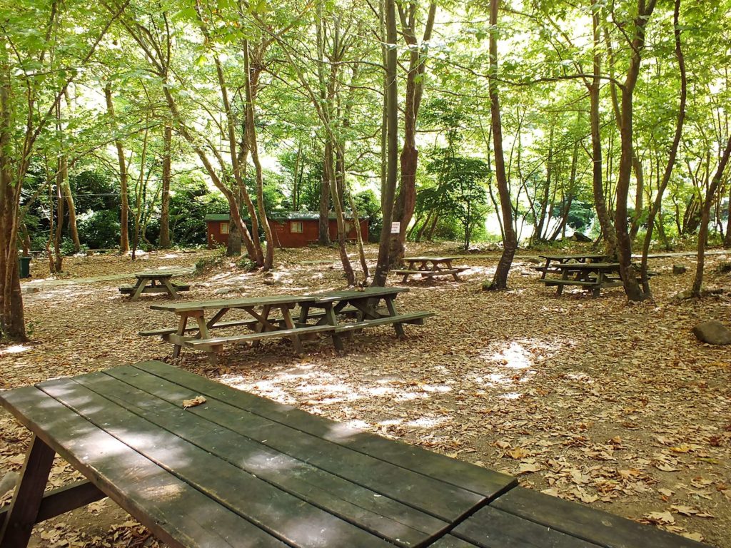 Piknik masaları